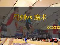 马刺vs 魔术(NBA)