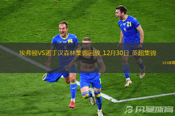 英超-伍德传射怀特破门诺丁汉森林客场2-0埃弗顿升第二