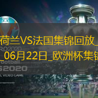 06月22日欧洲杯小组赛D组第2轮荷兰vs法国精彩片段