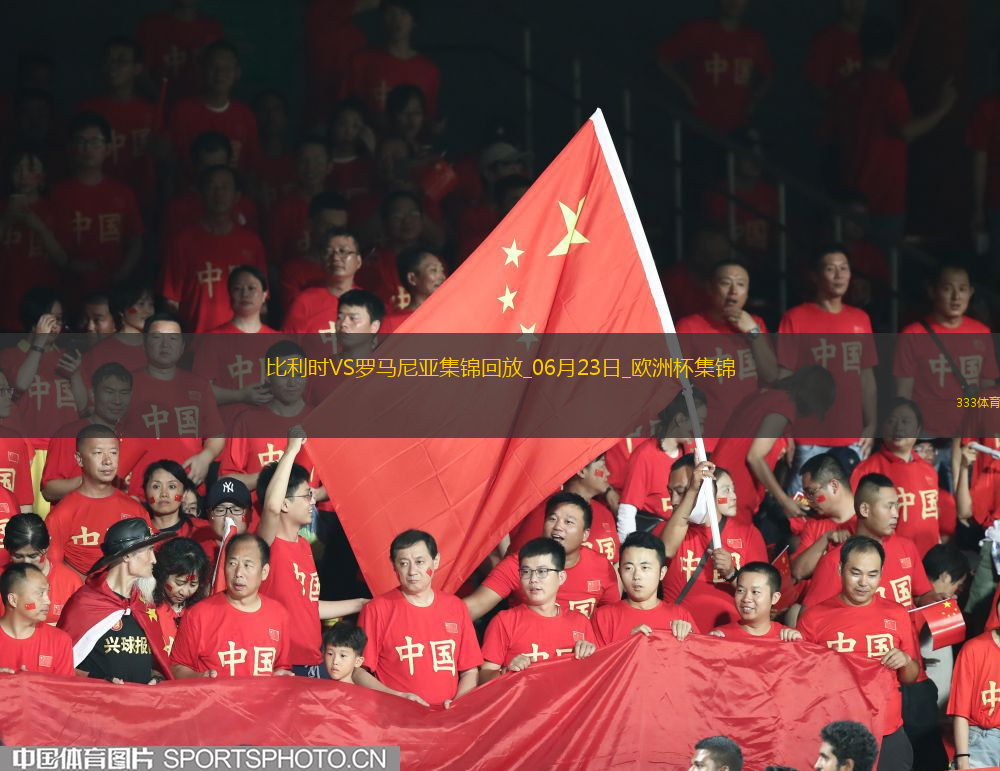 06月23日欧洲杯小组赛E组第2轮比利时vs罗马尼亚进球视频