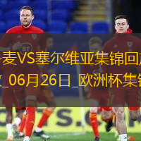 欧洲杯小组赛C组第3轮丹麦vs塞尔维亚精彩片段