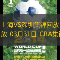 03月31日CBA常规赛收官战上海-深圳精彩镜头