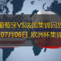 07月06日欧洲杯1/4决赛葡萄牙vs法国精彩片段