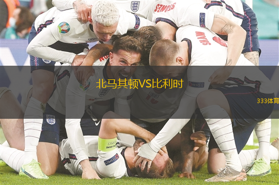 北马其顿VS比利时