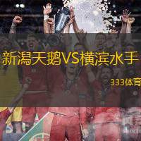 新潟天鹅VS横滨水手