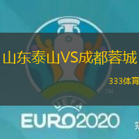 山东泰山VS成都蓉城