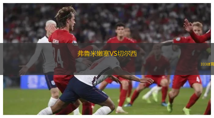 弗鲁米嫩塞VS切尔西