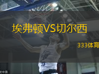埃弗顿VS切尔西