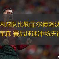 德丙球队比勒菲尔德淘汰勒沃库森 赛后球迷冲场庆祝