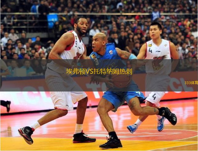 埃弗顿VS托特纳姆热刺
