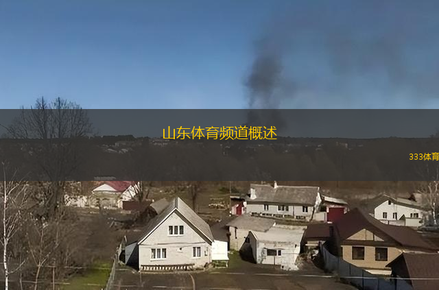 山东体育频道概述