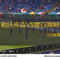 勒沃库森VS霍芬海姆