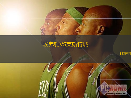 埃弗顿VS莱斯特城