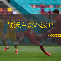 勒沃库森VS波鸿